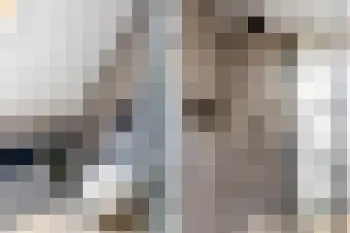 Vaart 29 Brielle thumbnail 44