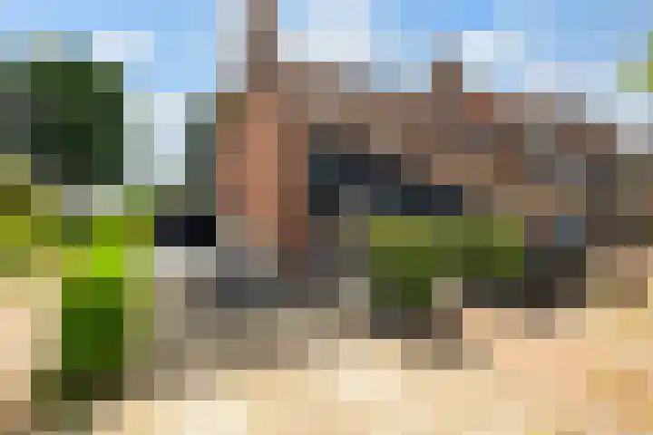 Vaart 29 Brielle thumbnail 47