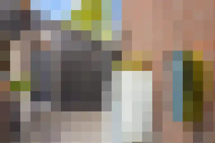 Vaart 29 Brielle thumbnail 5