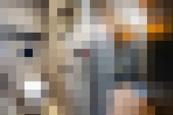 Vaart 29 Brielle thumbnail 6
