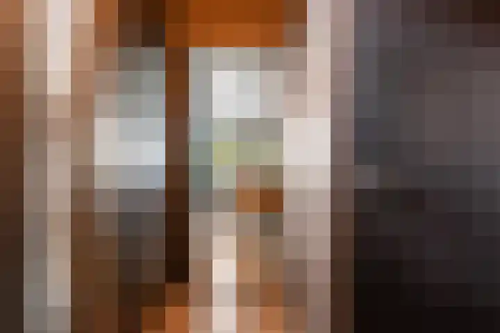 Vaart 29 Brielle thumbnail 7