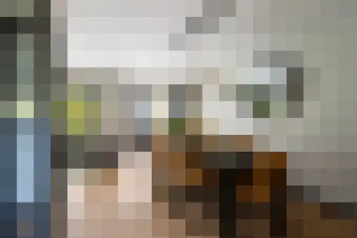 Vaart 29 Brielle thumbnail 9