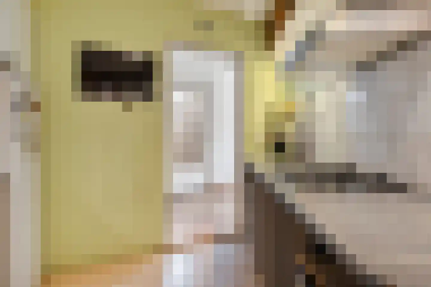 Vaart 41 Gasselternijveen thumbnail 15