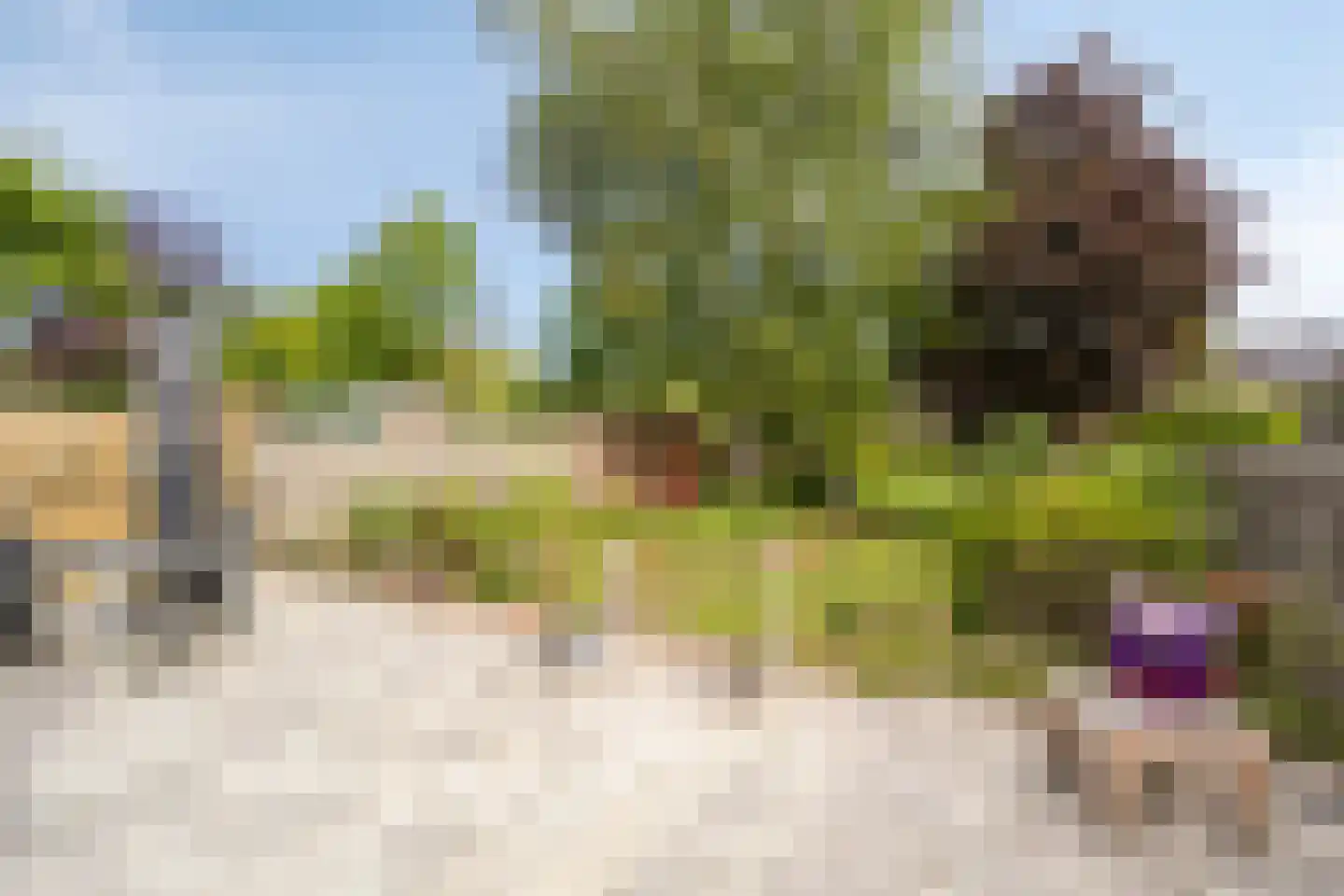 Vaart 41 Gasselternijveen thumbnail 31