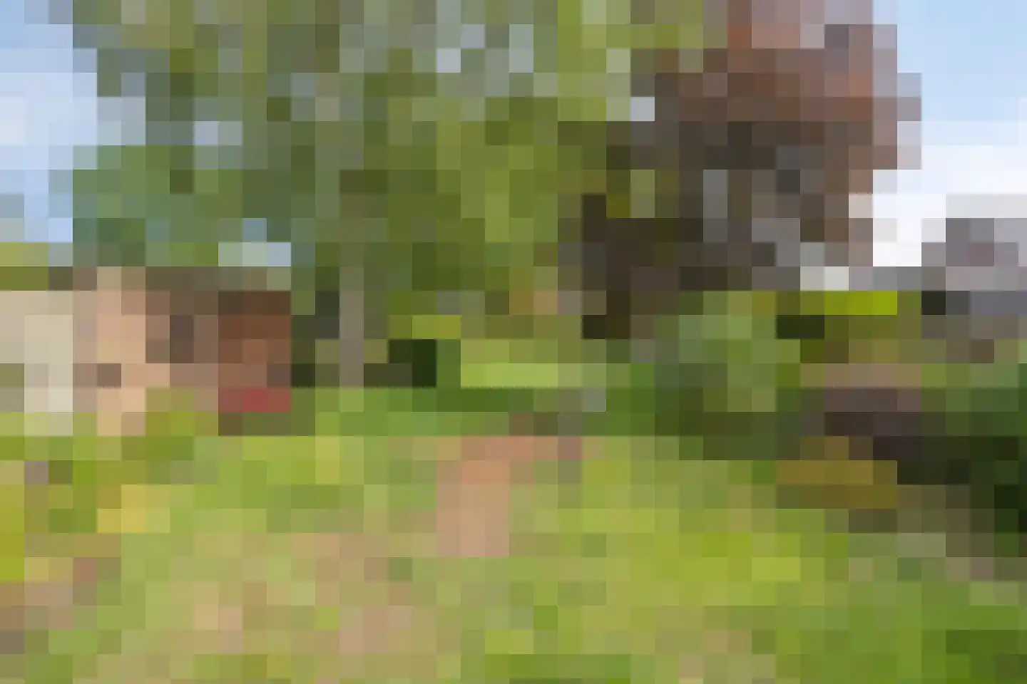 Vaart 41 Gasselternijveen thumbnail 32