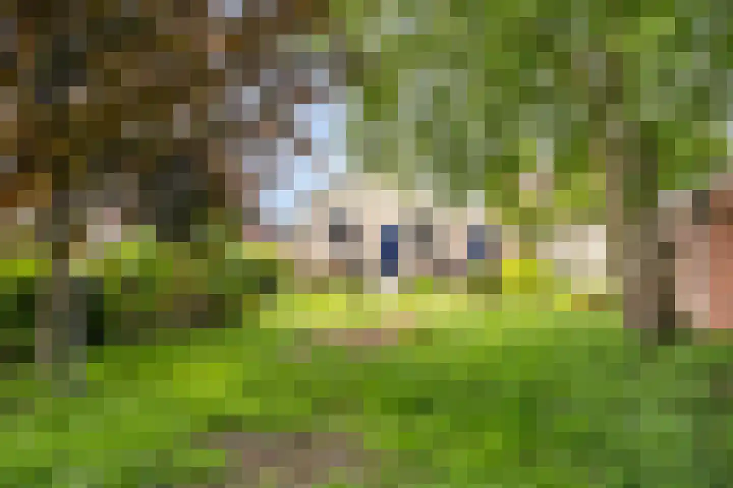 Vaart 41 Gasselternijveen thumbnail 34