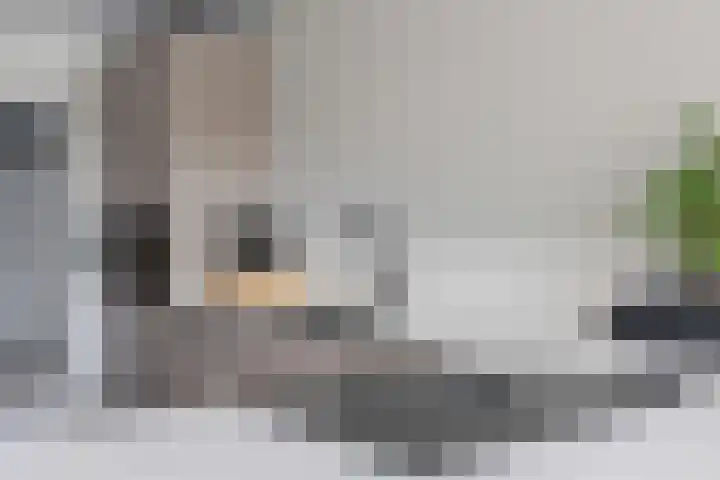 Vaart 70 Brielle thumbnail 11
