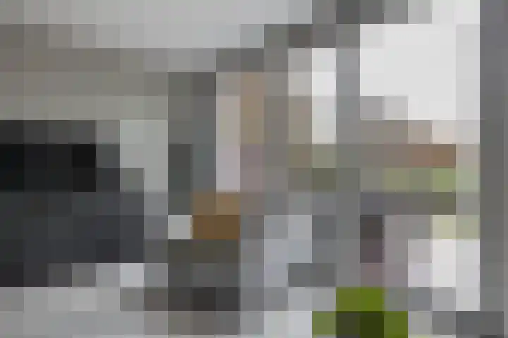 Vaart 70 Brielle thumbnail 19