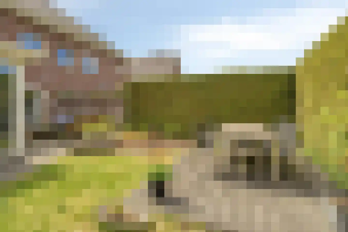 Vaart N.Z. 130 Assen thumbnail 43