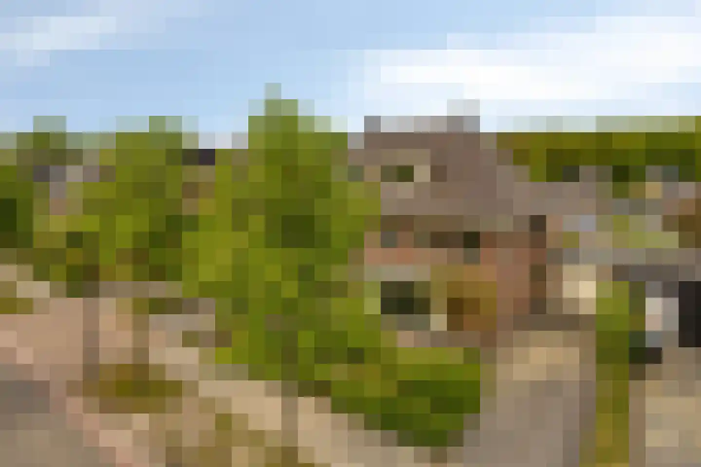 Vaart N.Z. 130 Assen thumbnail 48