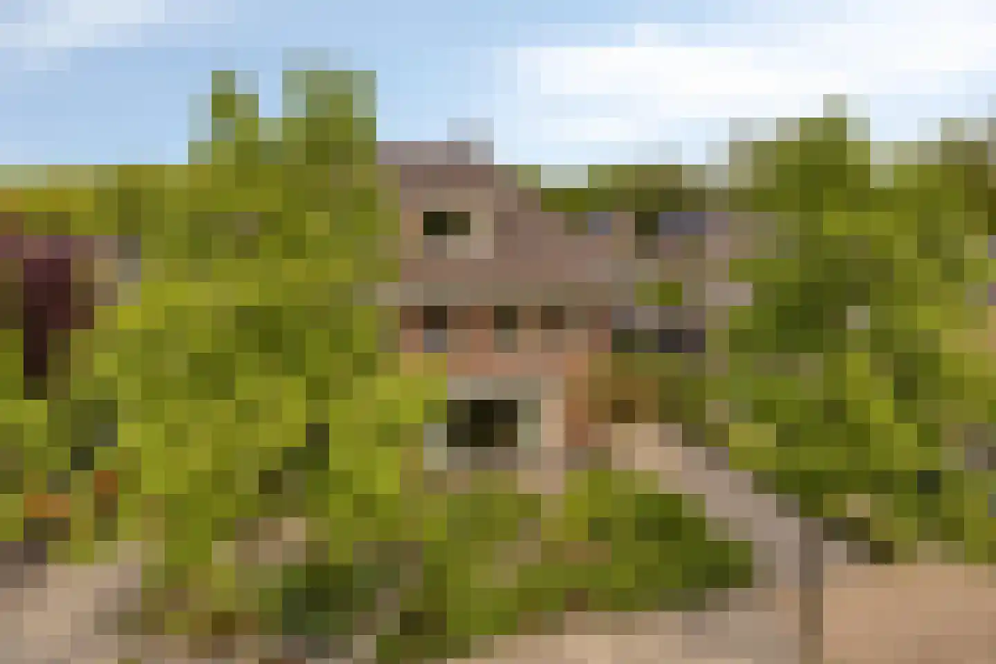 Vaart N.Z. 130 Assen thumbnail 5