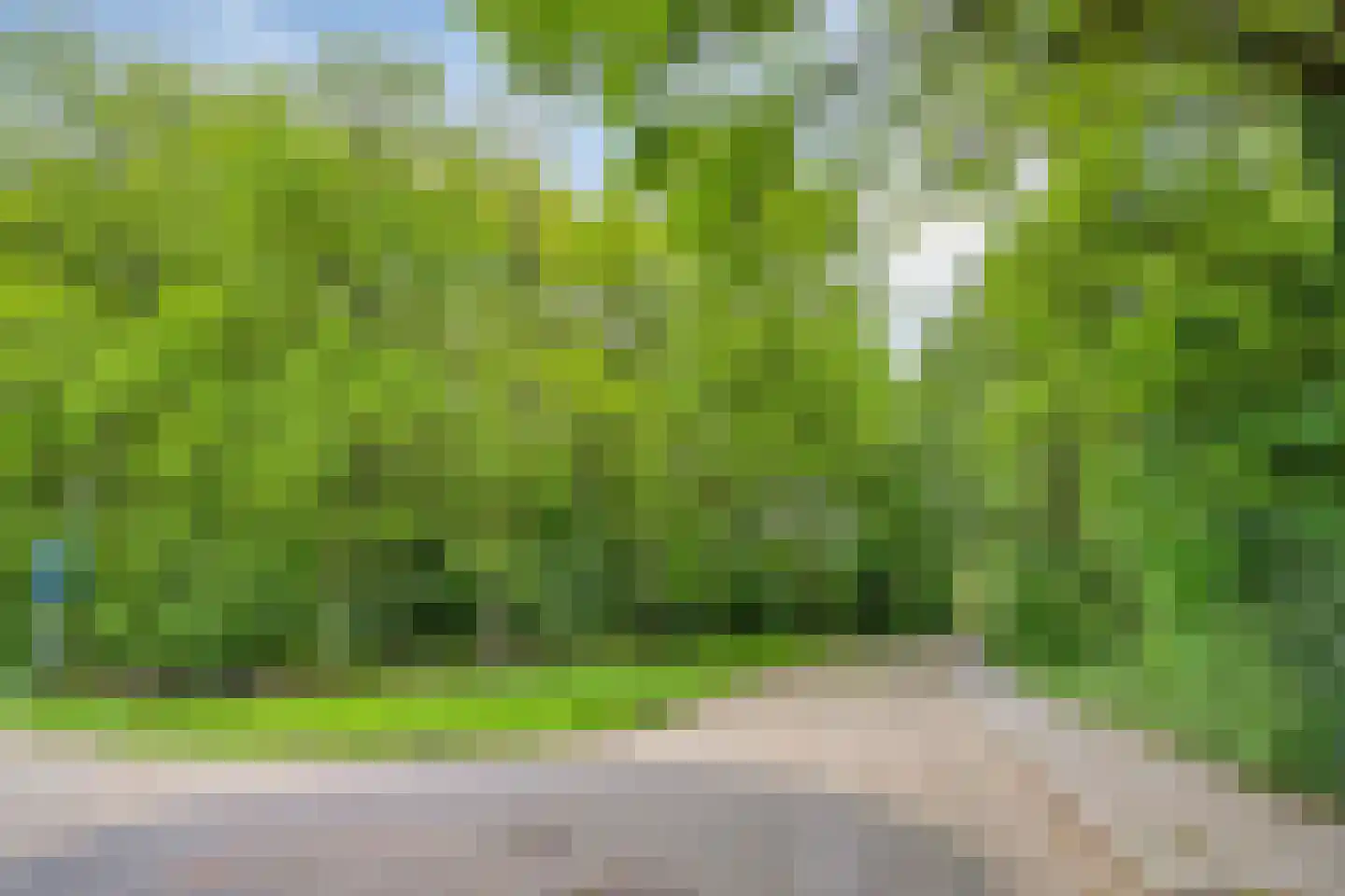 Vaart N.Z. 130 Assen thumbnail 50