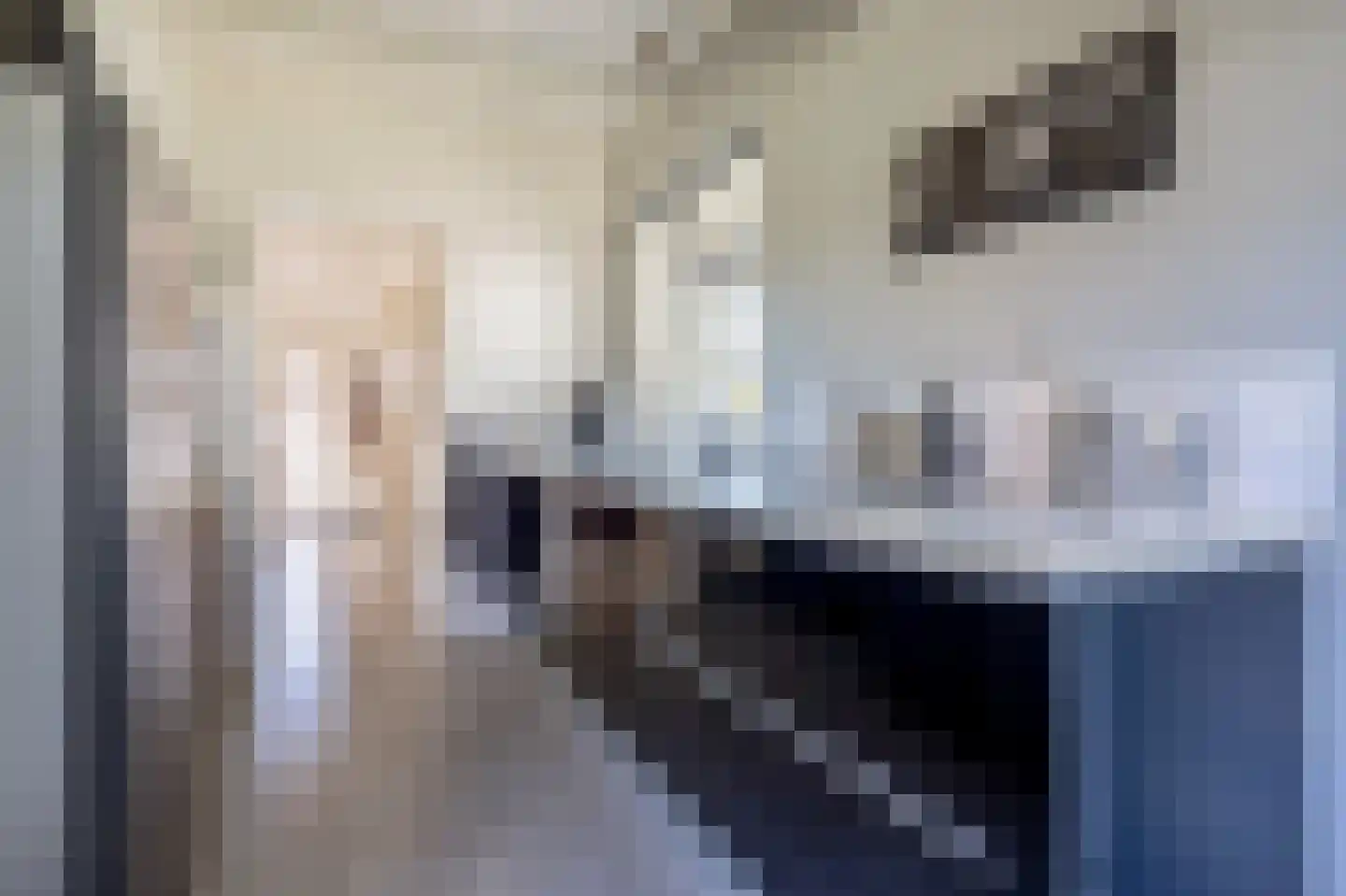 Vaart N.Z. 176 Assen thumbnail 31