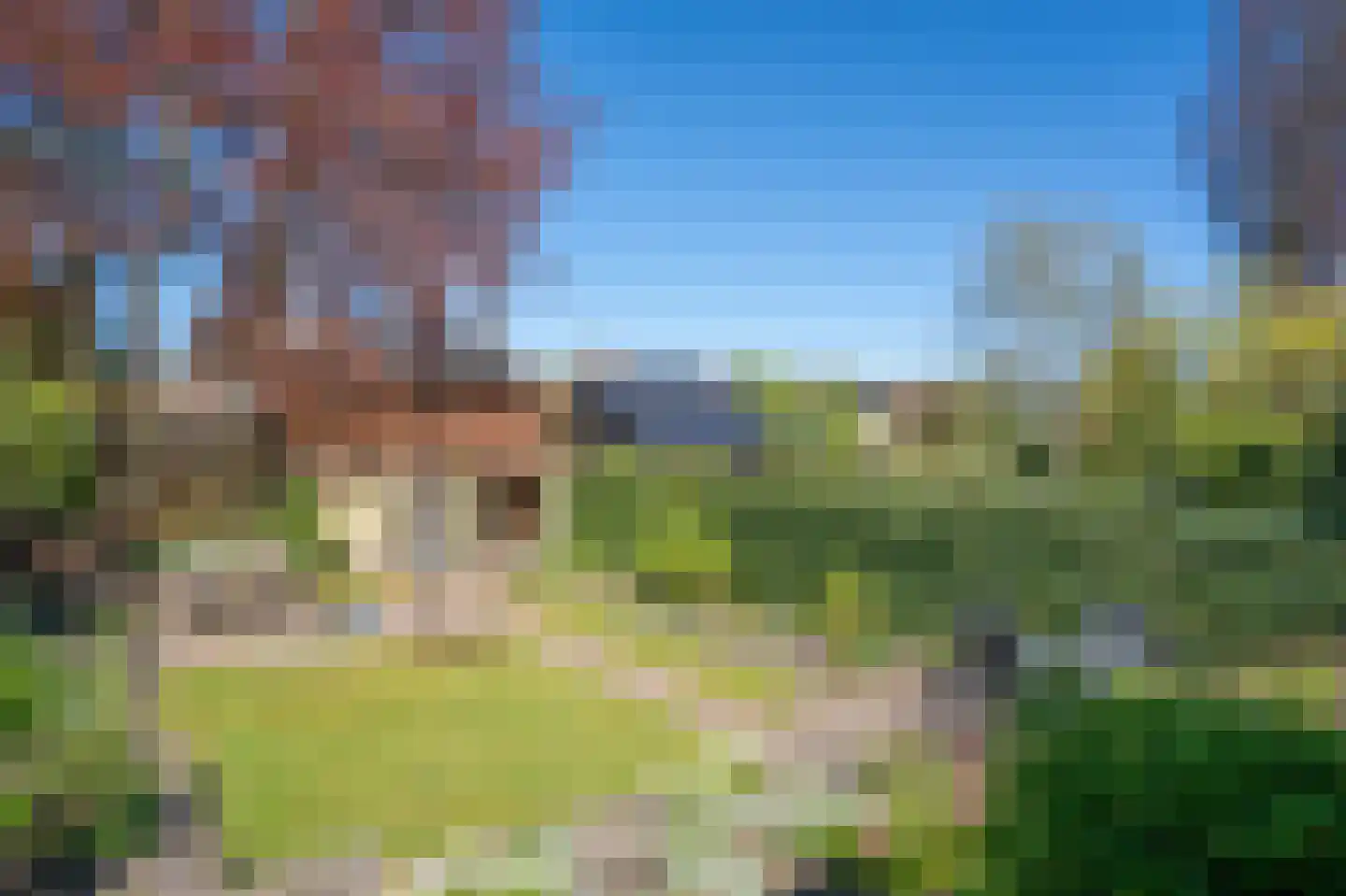 Vaart N.Z. 176 Assen thumbnail 53