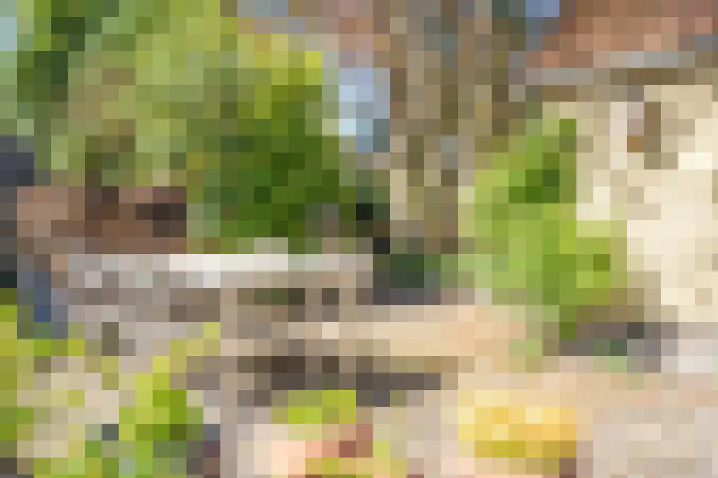 Vaart N.Z. 176 Assen thumbnail 62