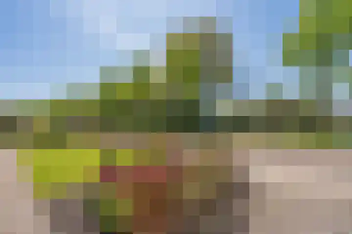 Vaart N.Z. 190 Assen thumbnail 13