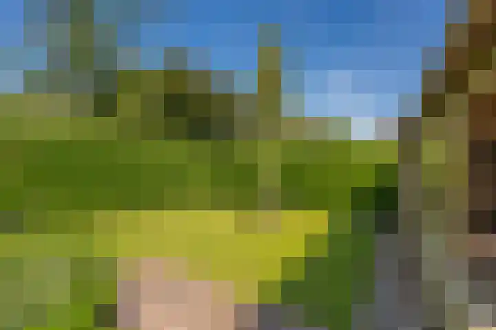 Vaart N.Z. 190 Assen thumbnail 54