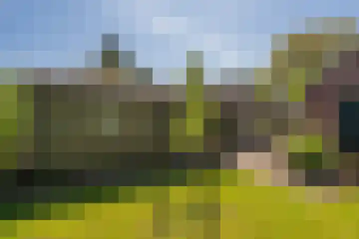 Vaart N.Z. 190 Assen thumbnail 55