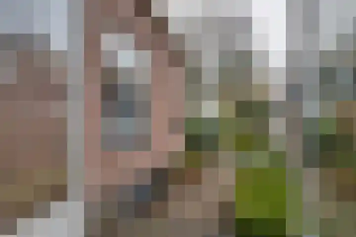 Vaart N.Z. 38 Assen thumbnail 12