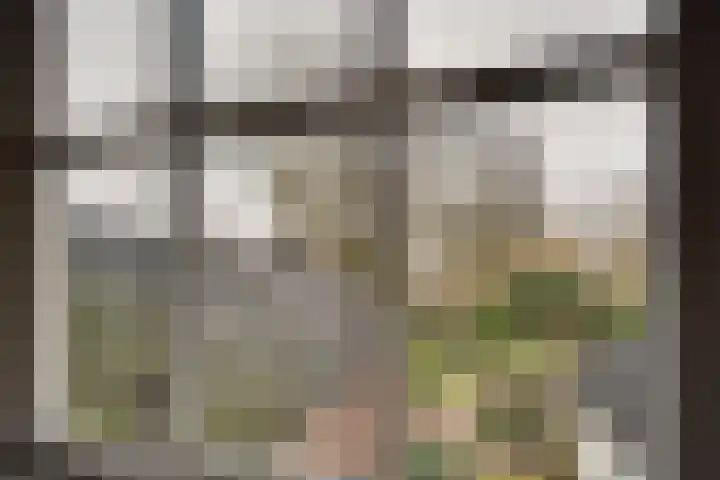 Vaart N.Z. 38 Assen thumbnail 23