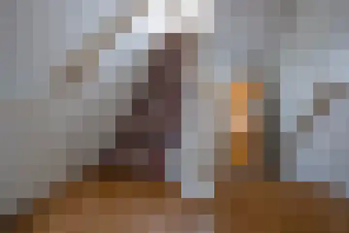 Vaart N.Z. 38 Assen thumbnail 29