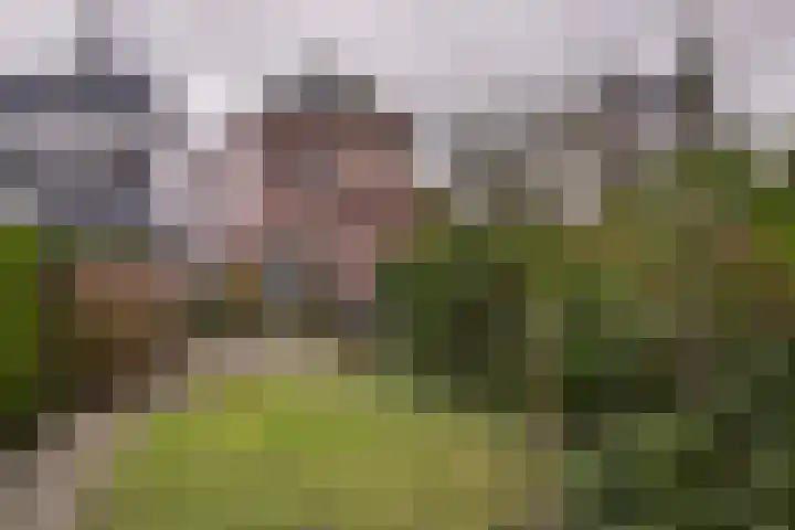 Vaart N.Z. 38 Assen thumbnail 38
