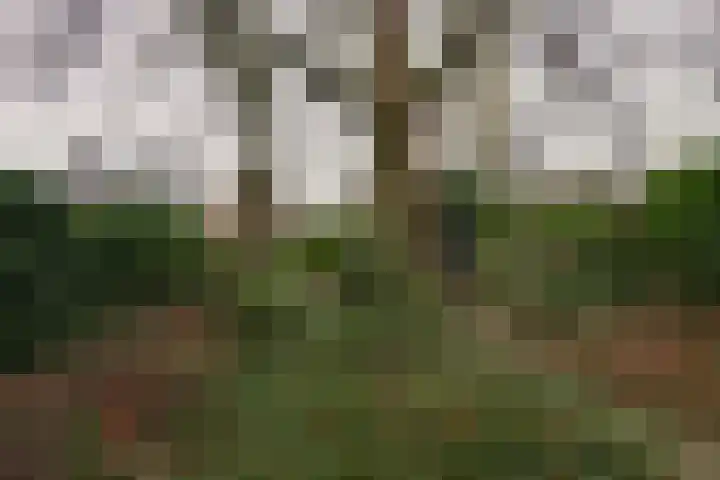 Vaart N.Z. 38 Assen thumbnail 39