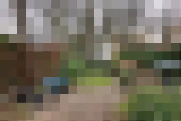 Vaart N.Z. 38 Assen thumbnail 40