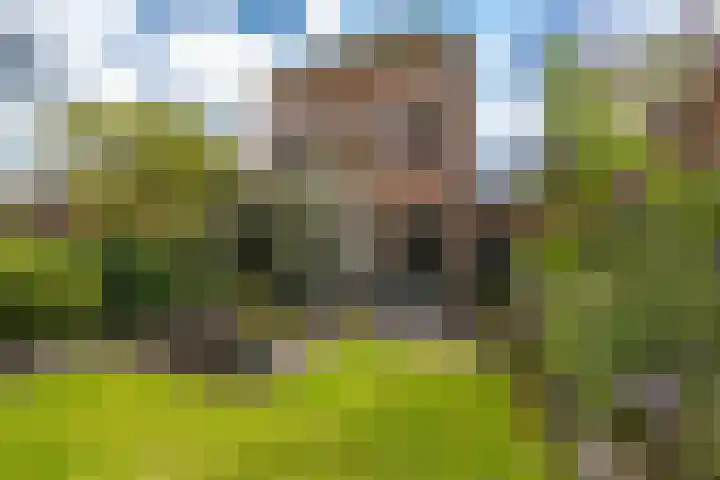 Vaart N.Z. 72 Assen thumbnail 5