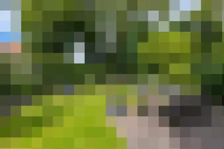 Vaart N.Z. 72 Assen thumbnail 6