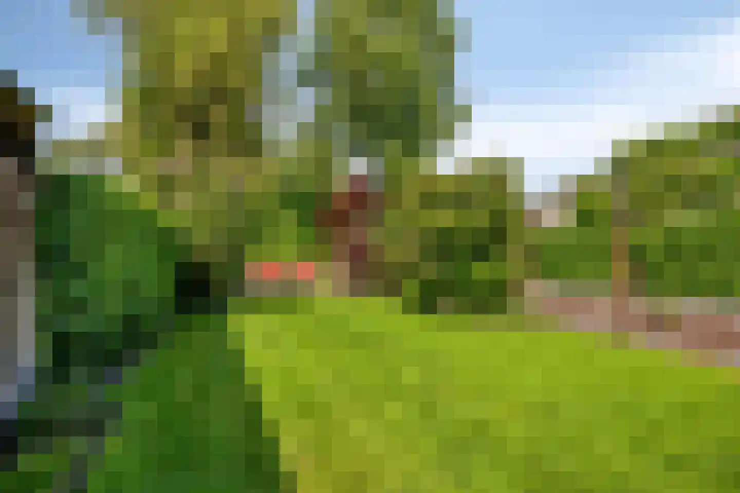 Vaart N.Z. 84 Assen thumbnail 41