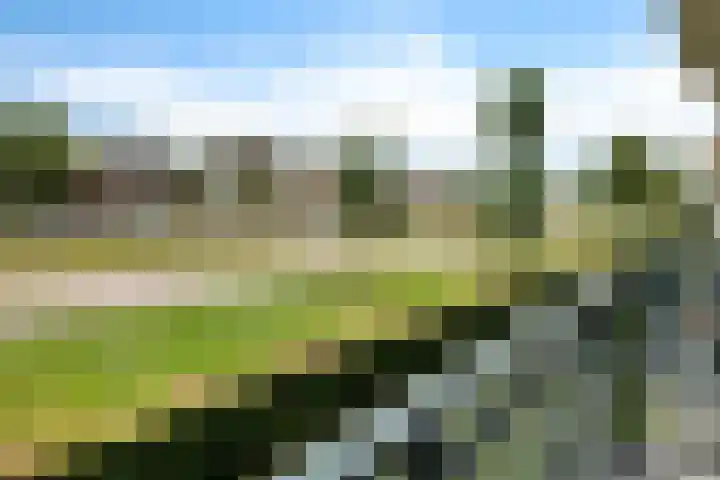 Vaart N.Z. 90 B Assen thumbnail 25