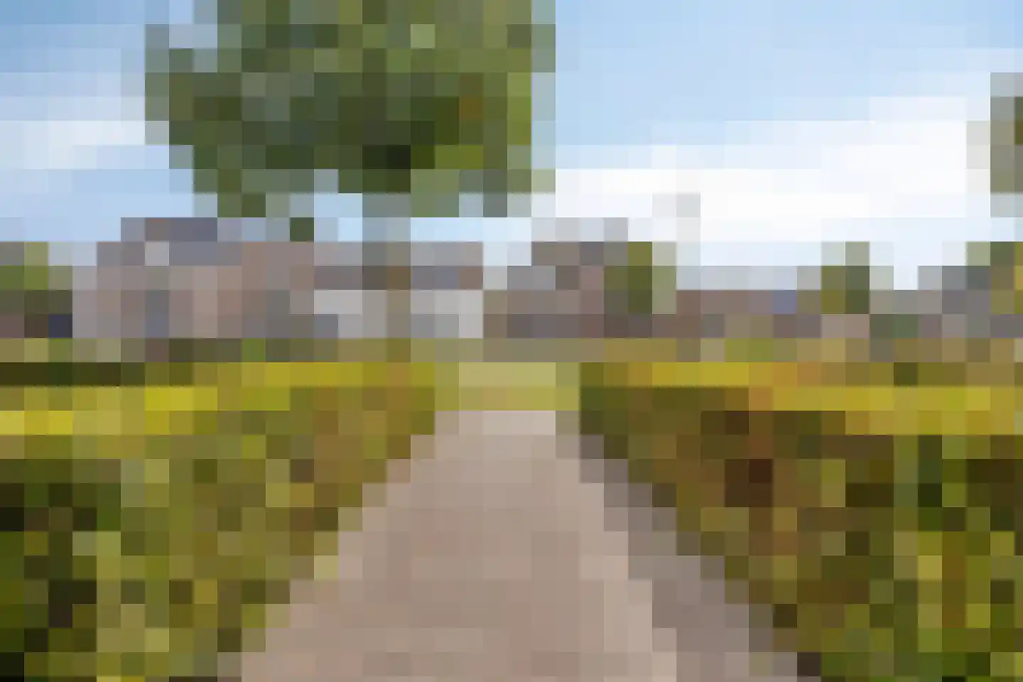 Vaart N.Z. 96 C Assen thumbnail 54
