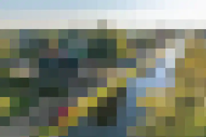 Vaart Nz 107 Appelscha thumbnail 10