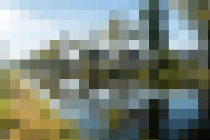 Vaart Nz 107 Appelscha thumbnail 11