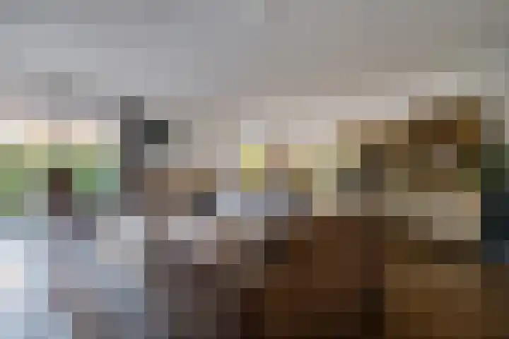 Vaart Nz 107 Appelscha thumbnail 15