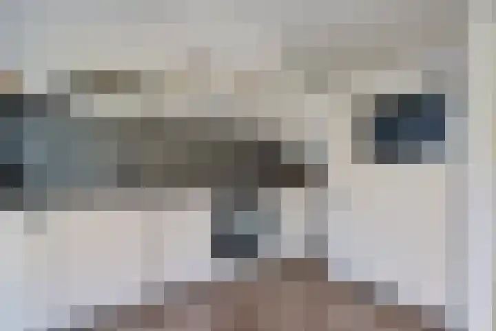 Vaart Nz 107 Appelscha thumbnail 21