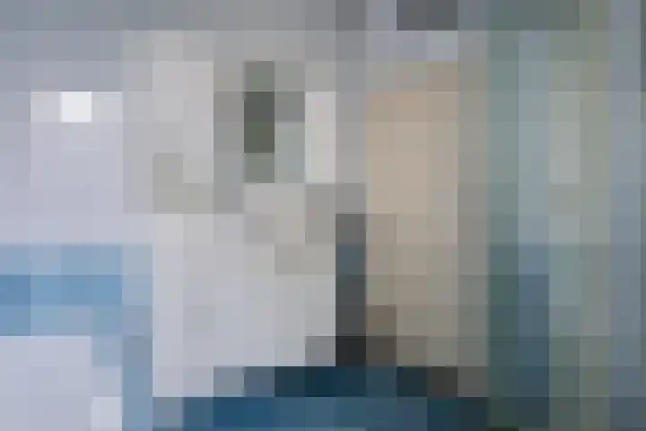 Vaart Nz 107 Appelscha thumbnail 28