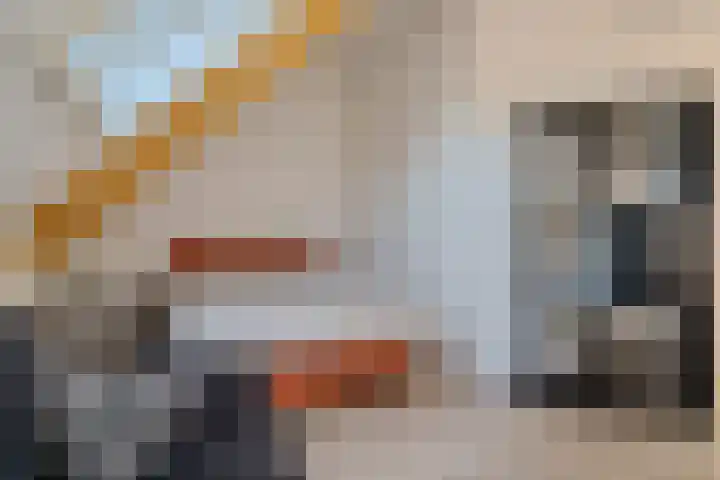 Vaart Nz 107 Appelscha thumbnail 34