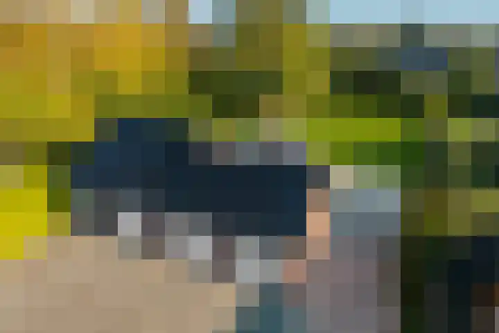 Vaart Nz 107 Appelscha thumbnail 42