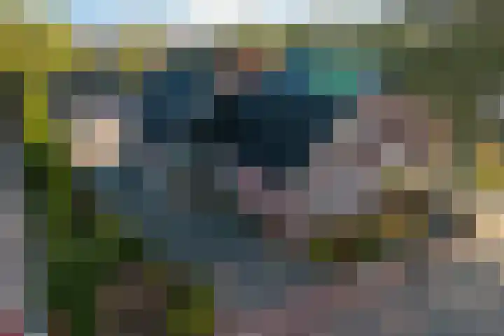 Vaart Nz 107 Appelscha thumbnail 7
