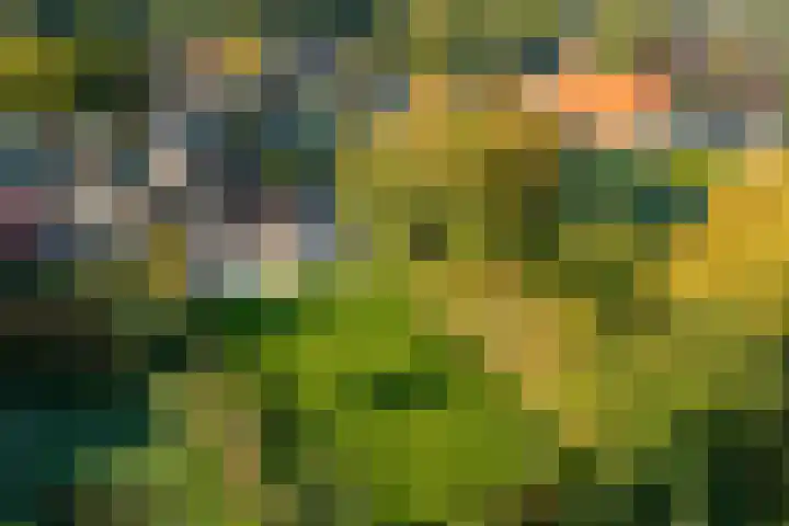 Vaart Nz 107 Appelscha thumbnail 8