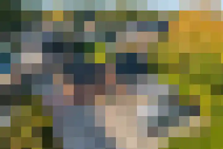 Vaart Nz 107 Appelscha thumbnail 9