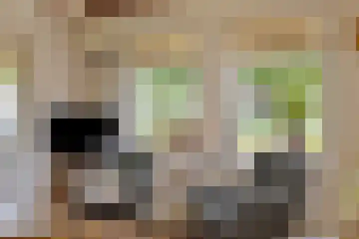 Vaart Nz 127 Appelscha thumbnail 14