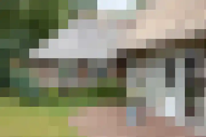 Vaart Nz 127 Appelscha thumbnail 17