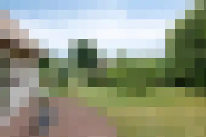 Vaart Nz 127 Appelscha thumbnail 29