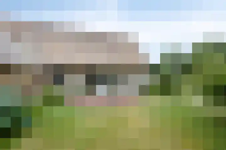 Vaart Nz 127 Appelscha thumbnail 30