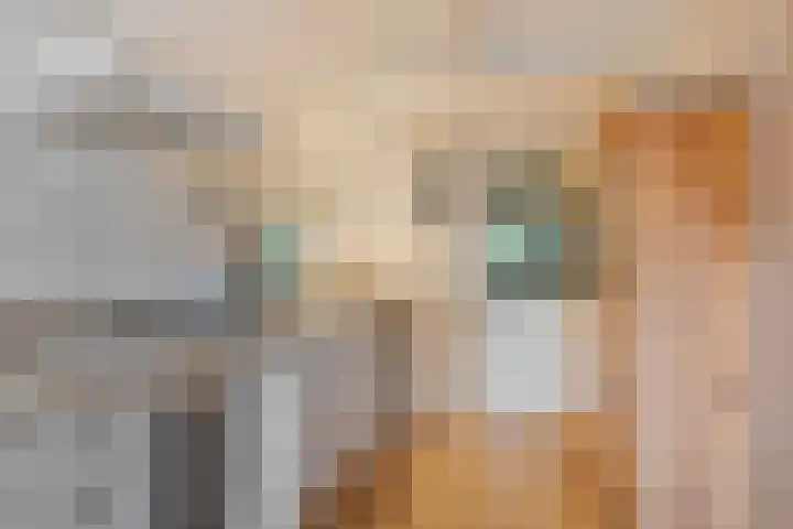 Vaart Nz 127 Appelscha thumbnail 33
