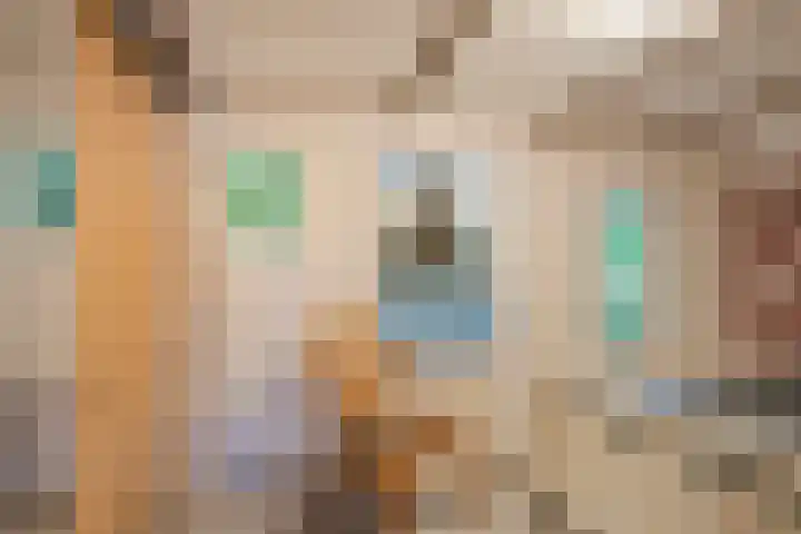 Vaart Nz 127 Appelscha thumbnail 35
