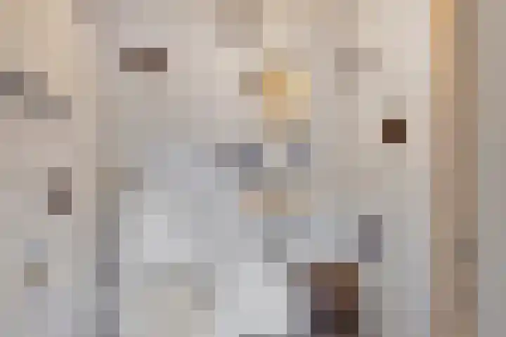 Vaart Nz 127 Appelscha thumbnail 37